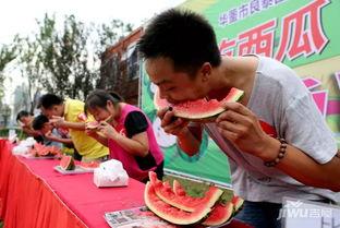 吃瓜网每日大赛 国内吃瓜爆料黑料,吃瓜网每日大赛，黑料爆料大揭秘