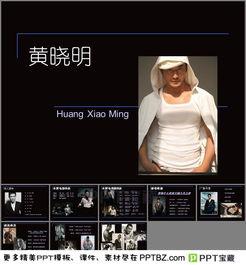 明星黑料ppt,PPT背后的真相与反思