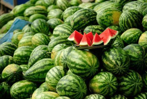 网红大瓜等你来开 怀仁最近网红大瓜,揭秘近期热门大瓜背后的故事