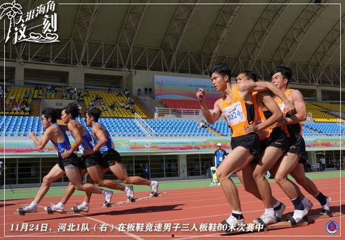 体育圈很乱天涯,乱象背后的真相与反思