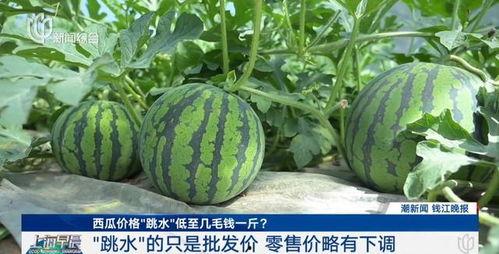 52每日大瓜视频 爆炸瓜视频