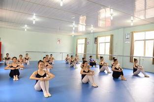 独家爆料艺术学校极品舞蹈生,揭秘艺术学校极品舞蹈生的传奇故事